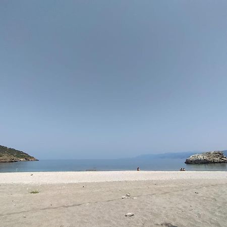Rising Sun Guesthouse Mesochoria Εξωτερικό φωτογραφία