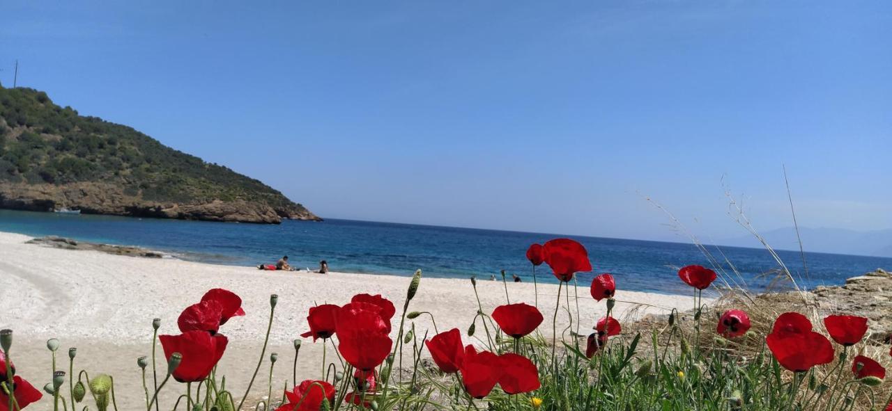 Rising Sun Guesthouse Mesochoria Εξωτερικό φωτογραφία