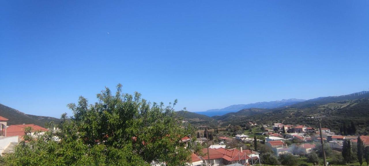 Rising Sun Guesthouse Mesochoria Εξωτερικό φωτογραφία