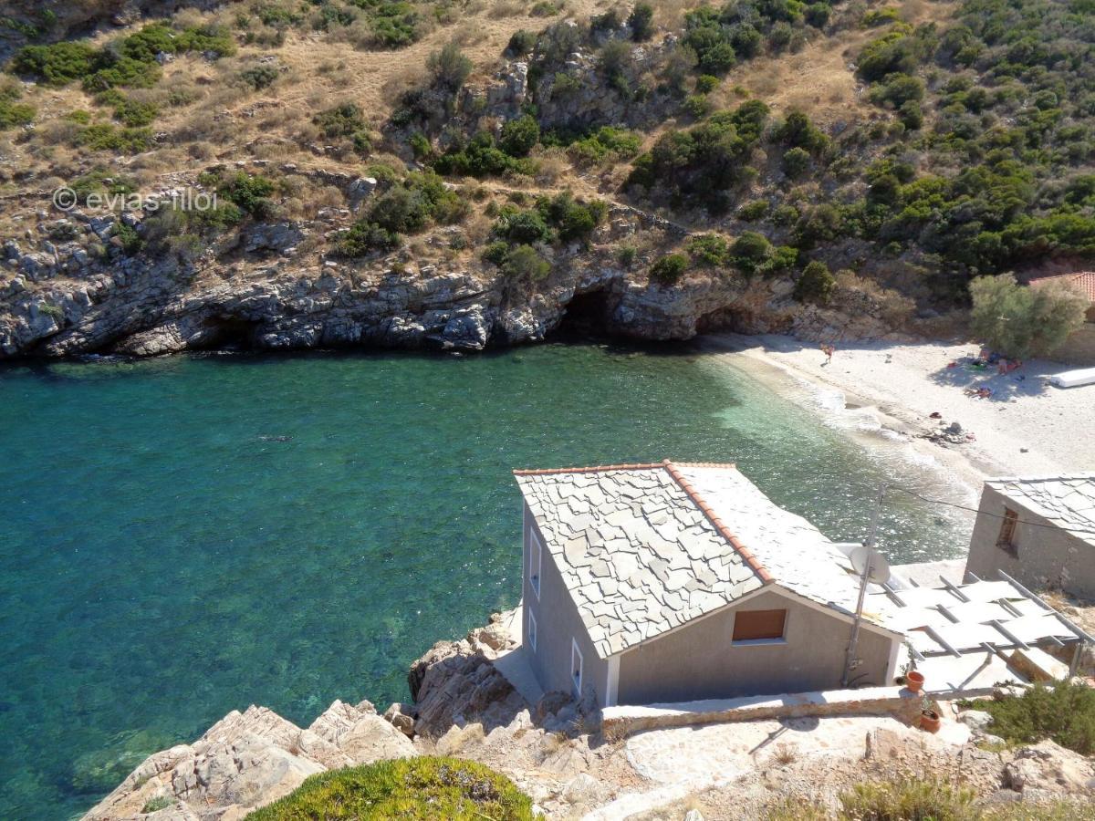 Rising Sun Guesthouse Mesochoria Εξωτερικό φωτογραφία