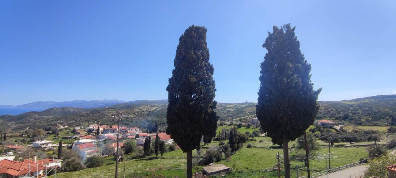 Rising Sun Guesthouse Mesochoria Εξωτερικό φωτογραφία