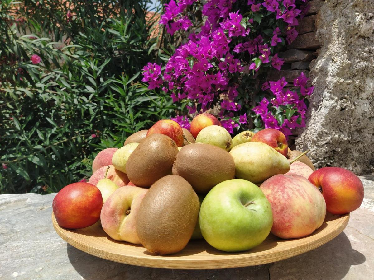 Rising Sun Guesthouse Mesochoria Εξωτερικό φωτογραφία